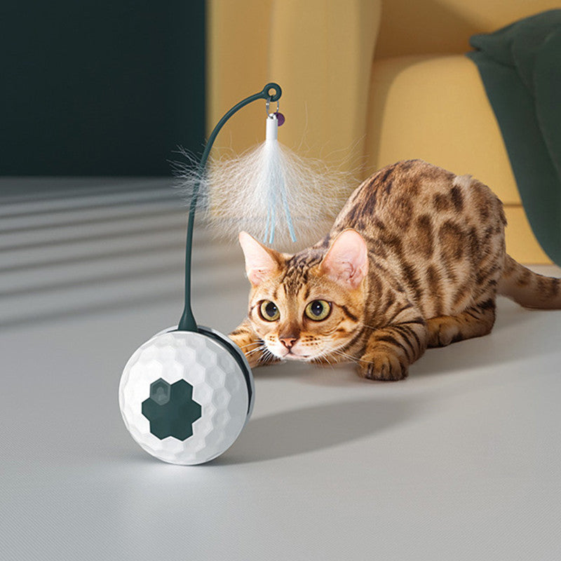 BowLift | Automatic Funny Cat Toy