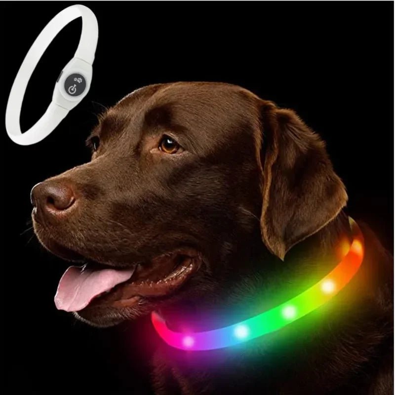 BowLift | LED Light Collar for Dogs for Safe Walks at Night