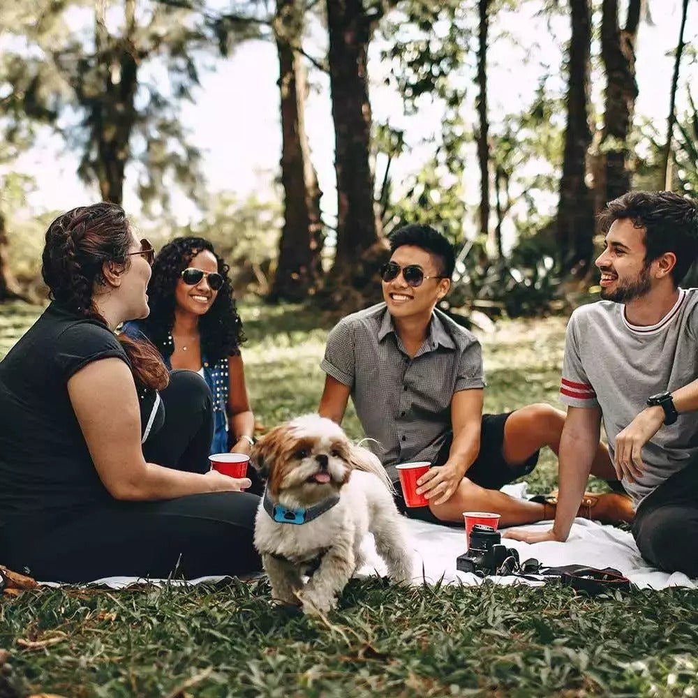 BowLift | Intelligent Anti-Bark Dog Collar with Sonic Wave Technology and Adjustable Fit