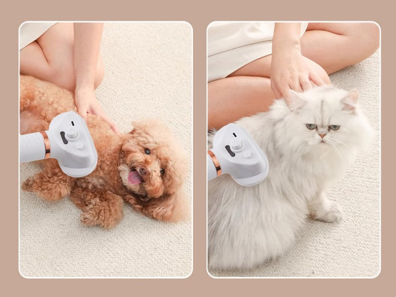BowLift | Pet De-Shedding Spray And Blow-Dry Brush