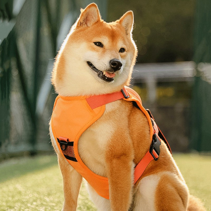 BowLift | Pet Chest-Back Integrated Automatic Retractable Leash
