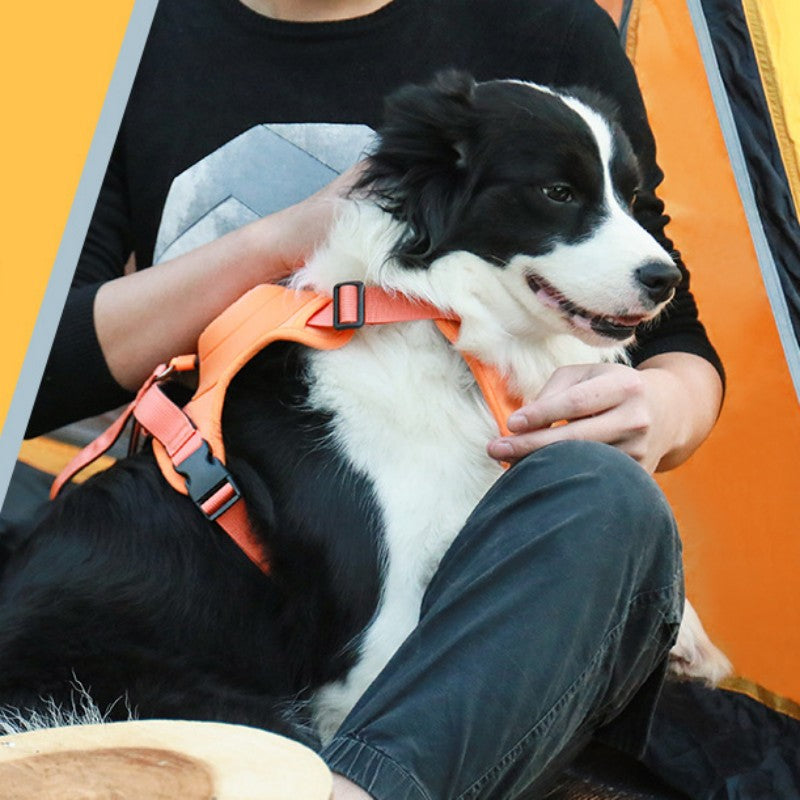BowLift | Pet Chest-Back Integrated Automatic Retractable Leash