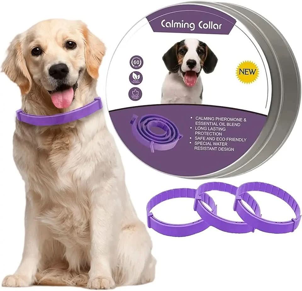 BowLift | Calming collar with pheromones for relaxed dogs
