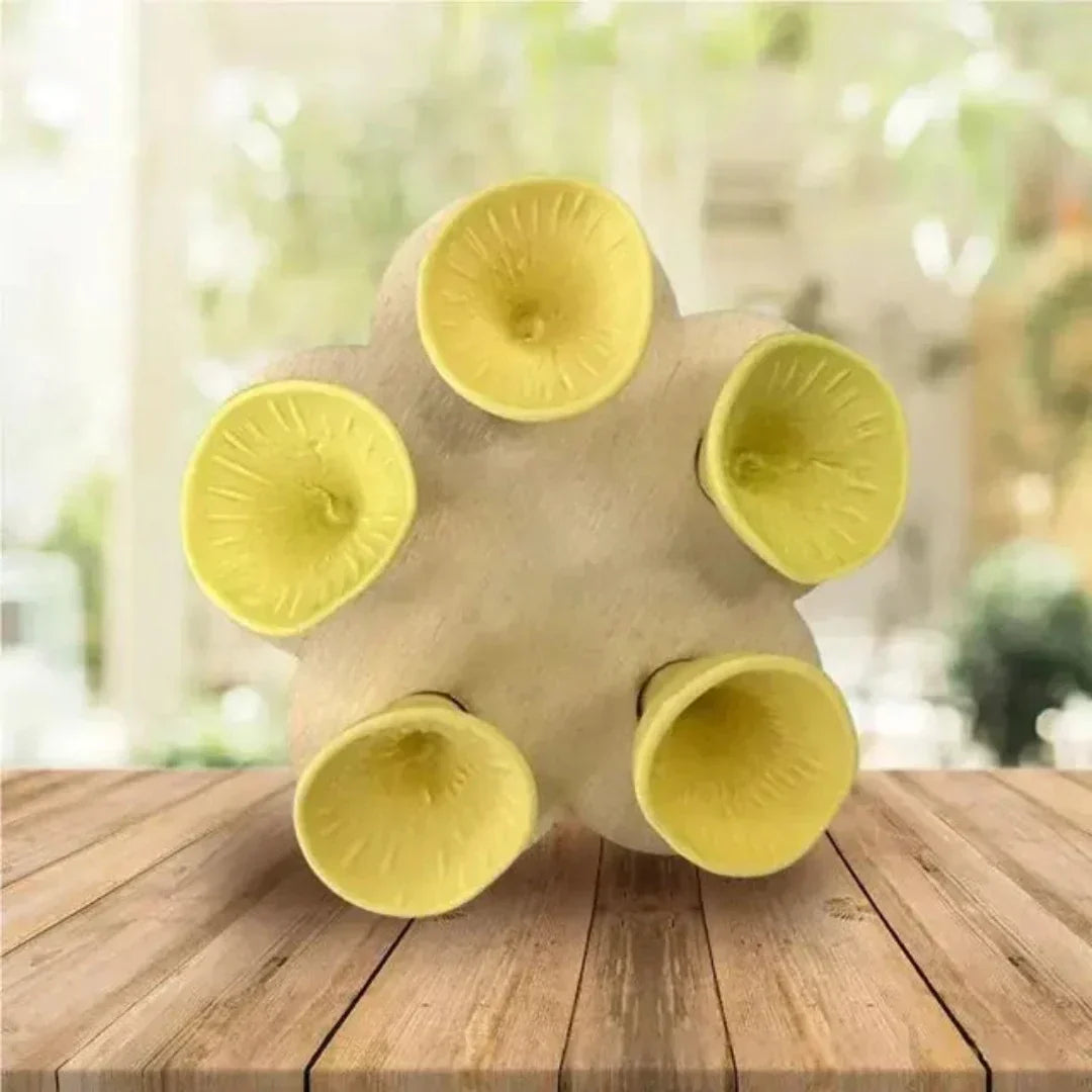 BowLift | Bee Care - PolliCup - Pollinator Friendly - Support Biodiversity