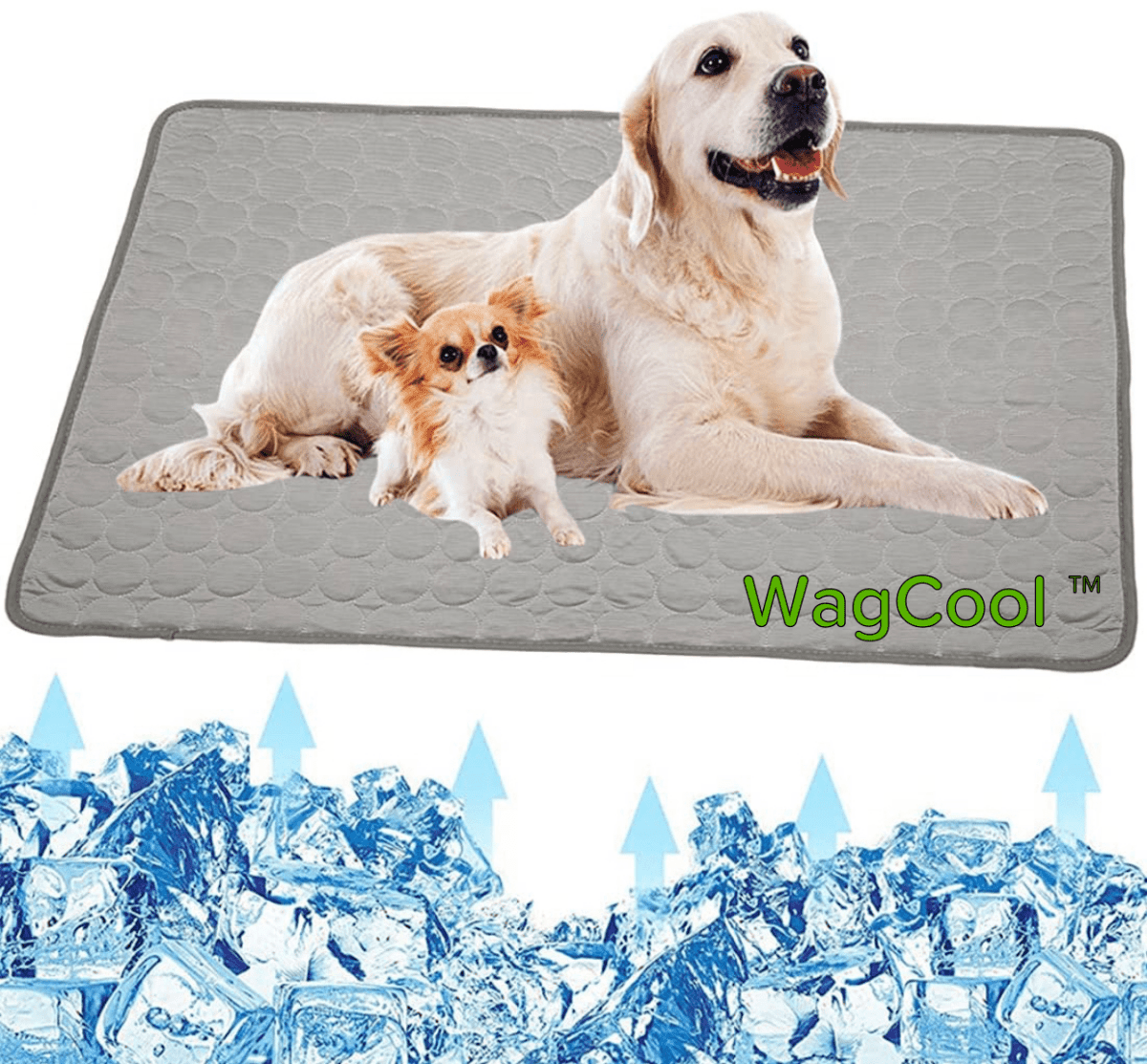 BowLift | Cooling dog mat for hot days & instant refreshment