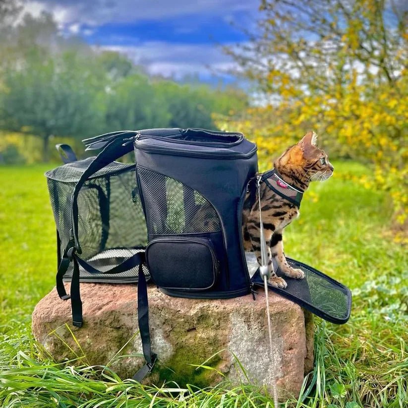 BowLift | Comfortable Cat Backpack with Viewing Window