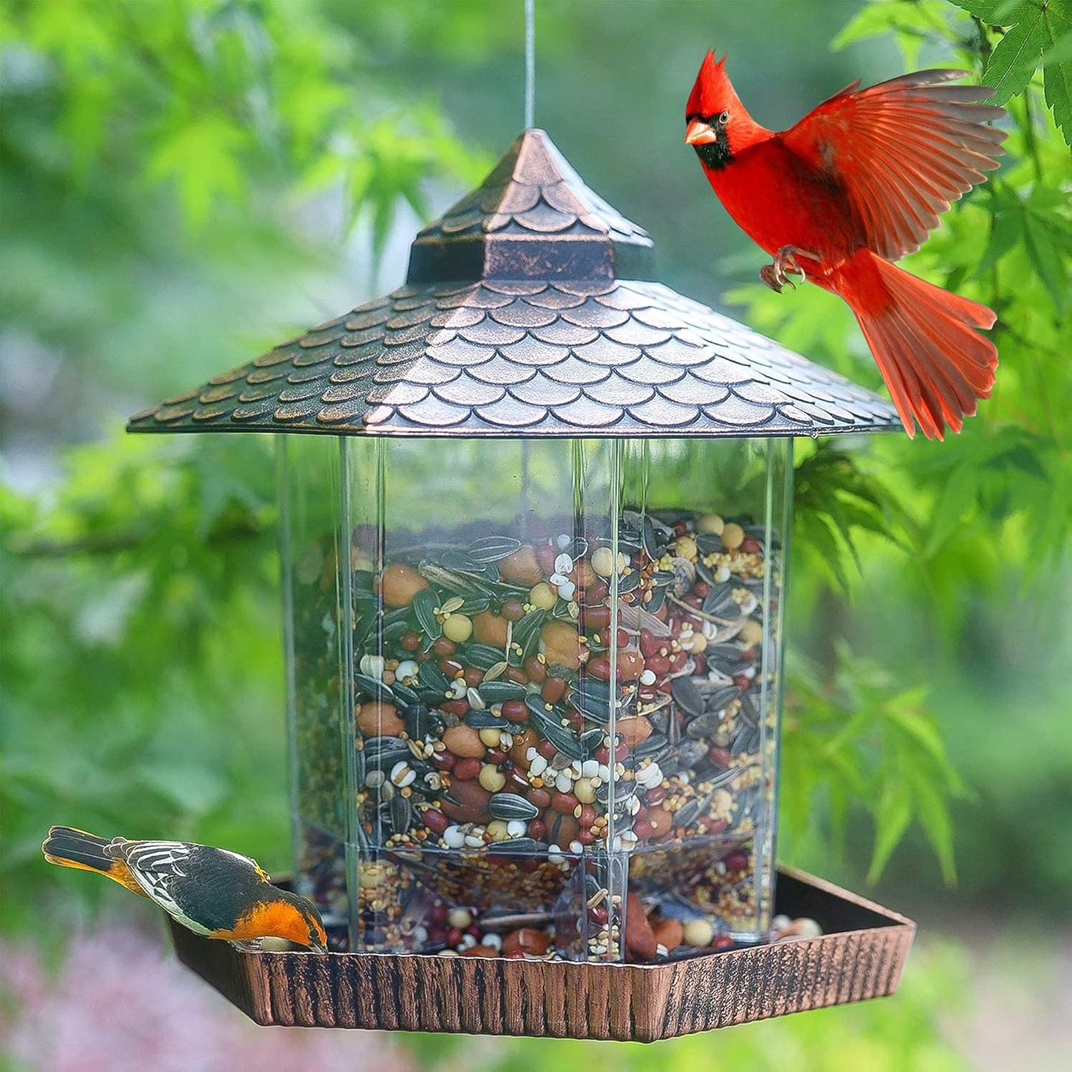 BowLift | Bird Feeder Hanging Copper Roof Outdoor