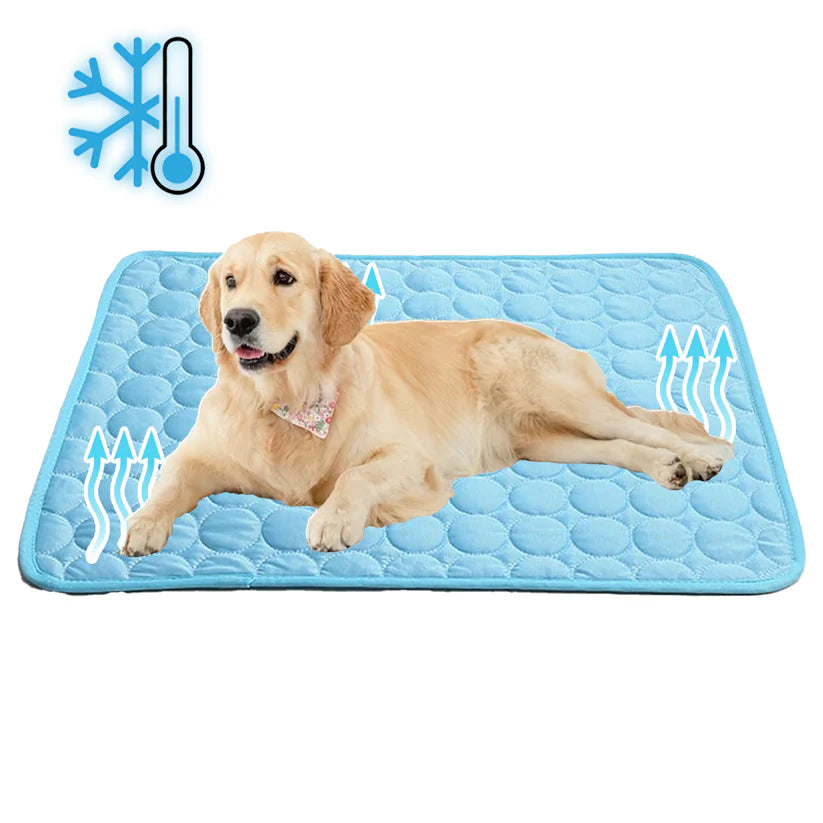 BowLift | Self-Cooling Mat for Quadrupeds Perfect for Hot Summer