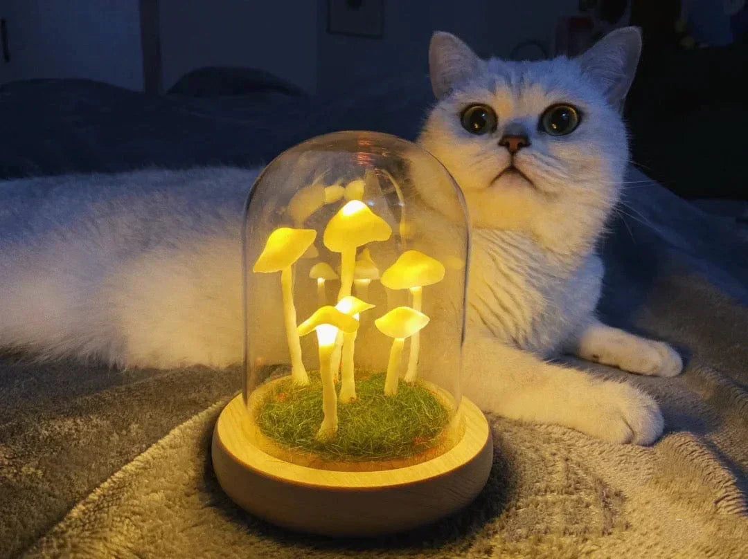 BowLift | Home cultivation with a touch of magic