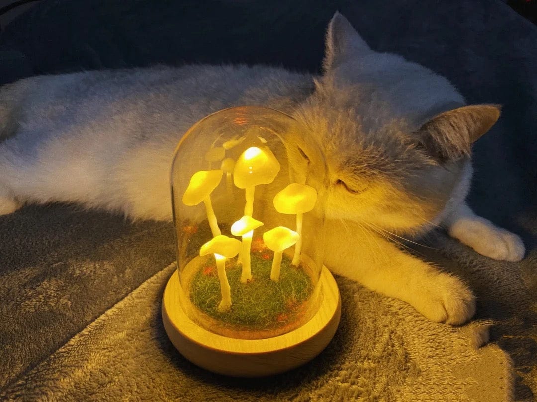 BowLift | Home cultivation with a touch of magic