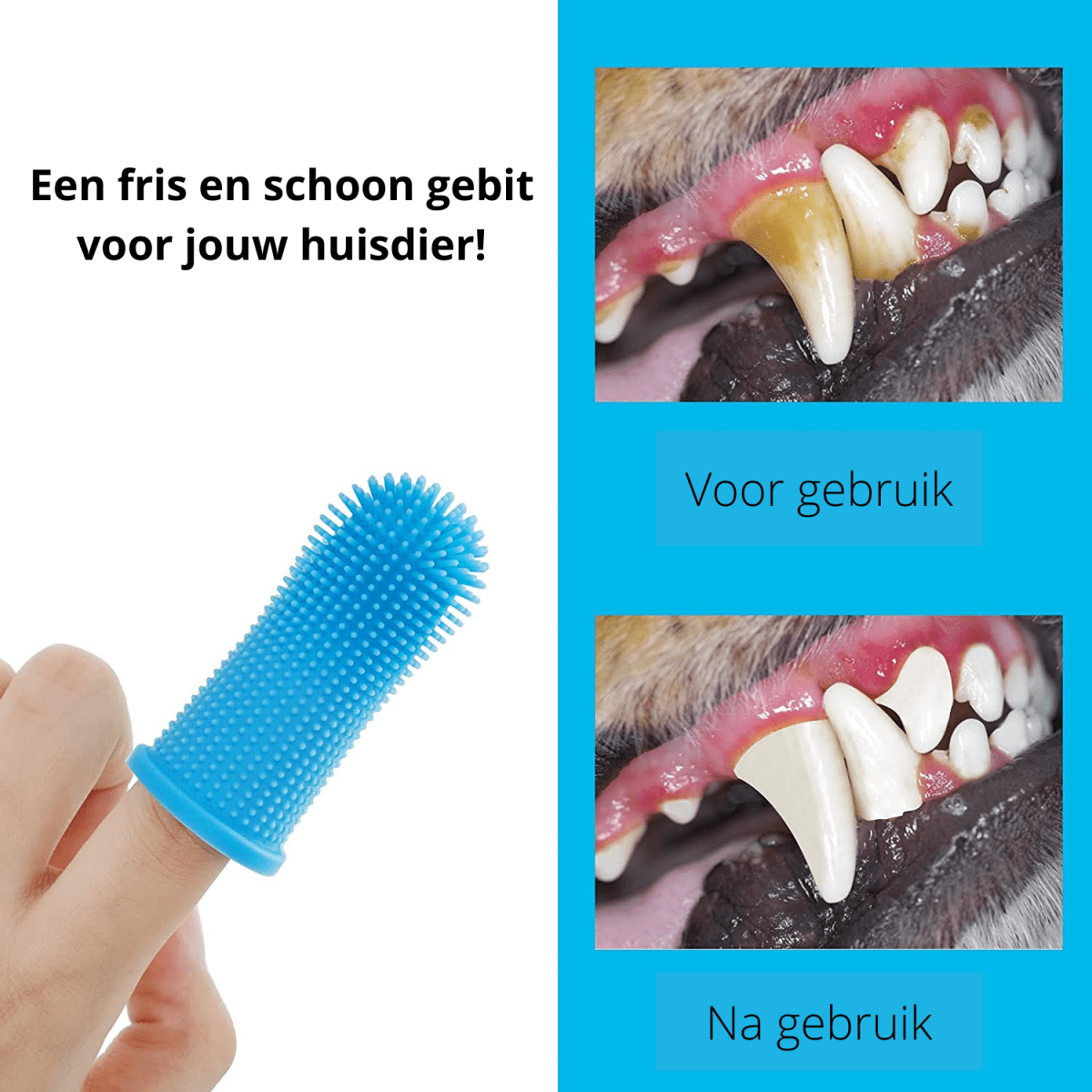 BowLift | 360° silicone finger toothbrush for safe dental care for dogs