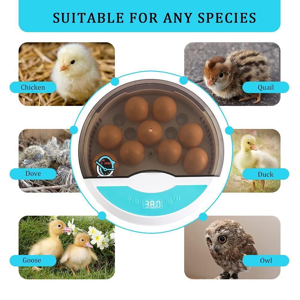 BowLift | Egg Incubator for Chicken Eggs Incubator for Egg Hatching Chicks with Temp Control LED Chicken Hatcher