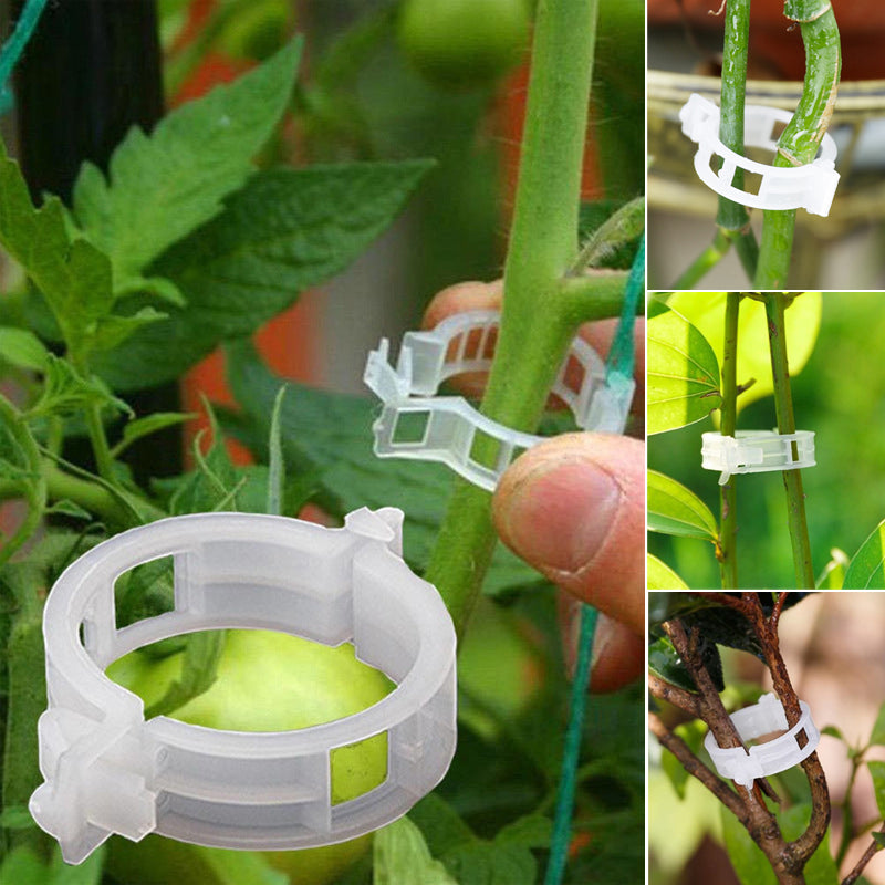 BowLift | Plant support clips