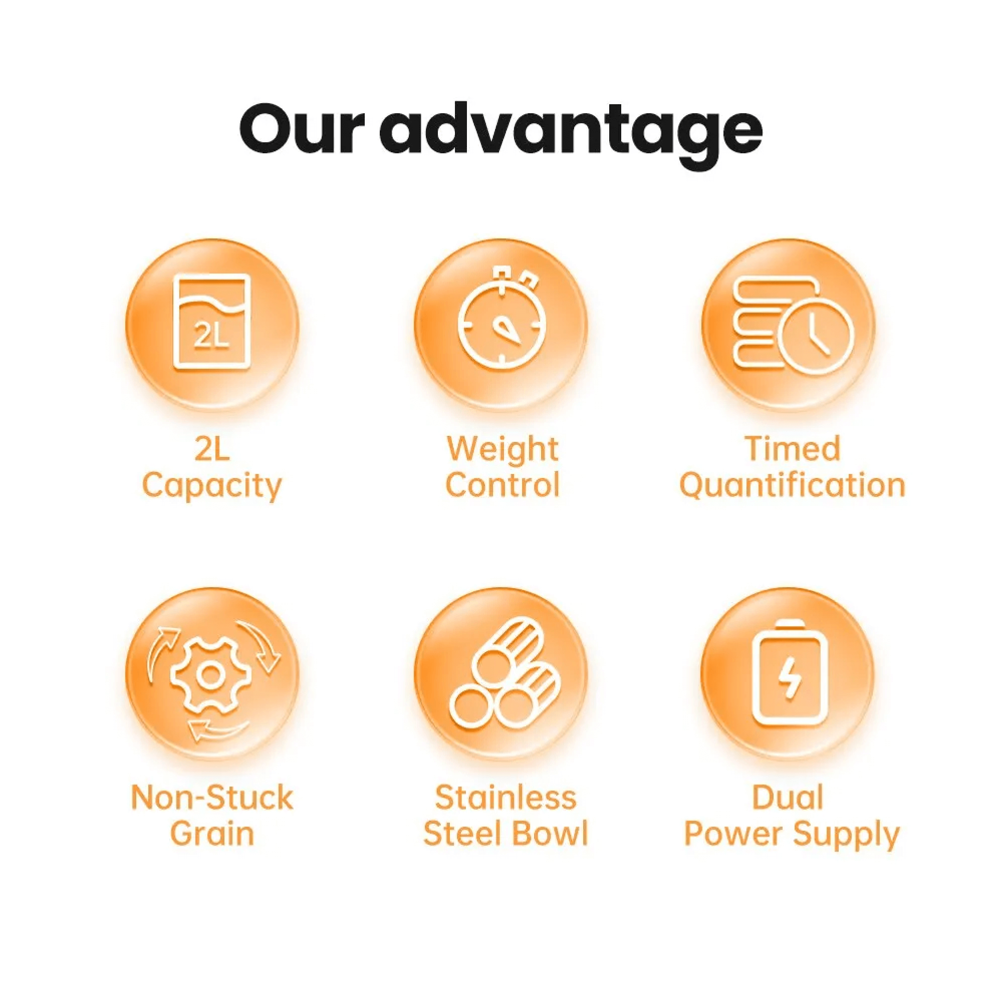 BowLift | Automatic Dog Timed Food Feeder Dispenser