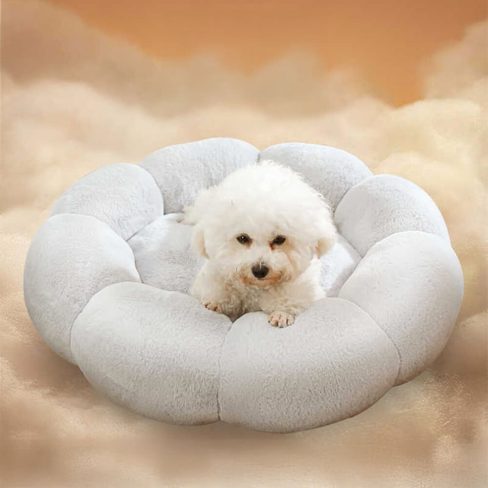 BowLift | Flower Heat Full Support Washable Decoration Dog & Cat Bed