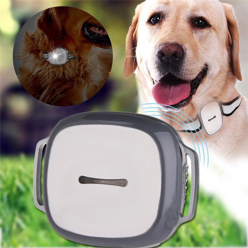BowLift | GPS Waterproof Pet Tracker