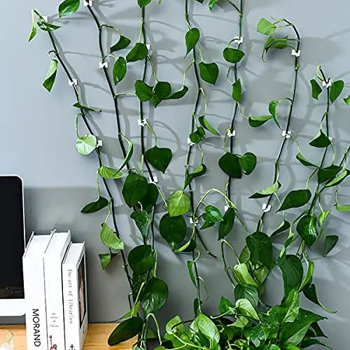 BowLift | Climbing Wall Mounting Clips – Practical Plant Holders for Wall Decoration