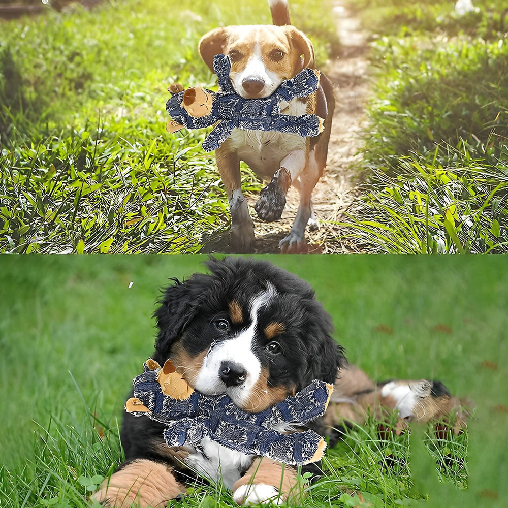 BowLift | Indestructible Robust Bear