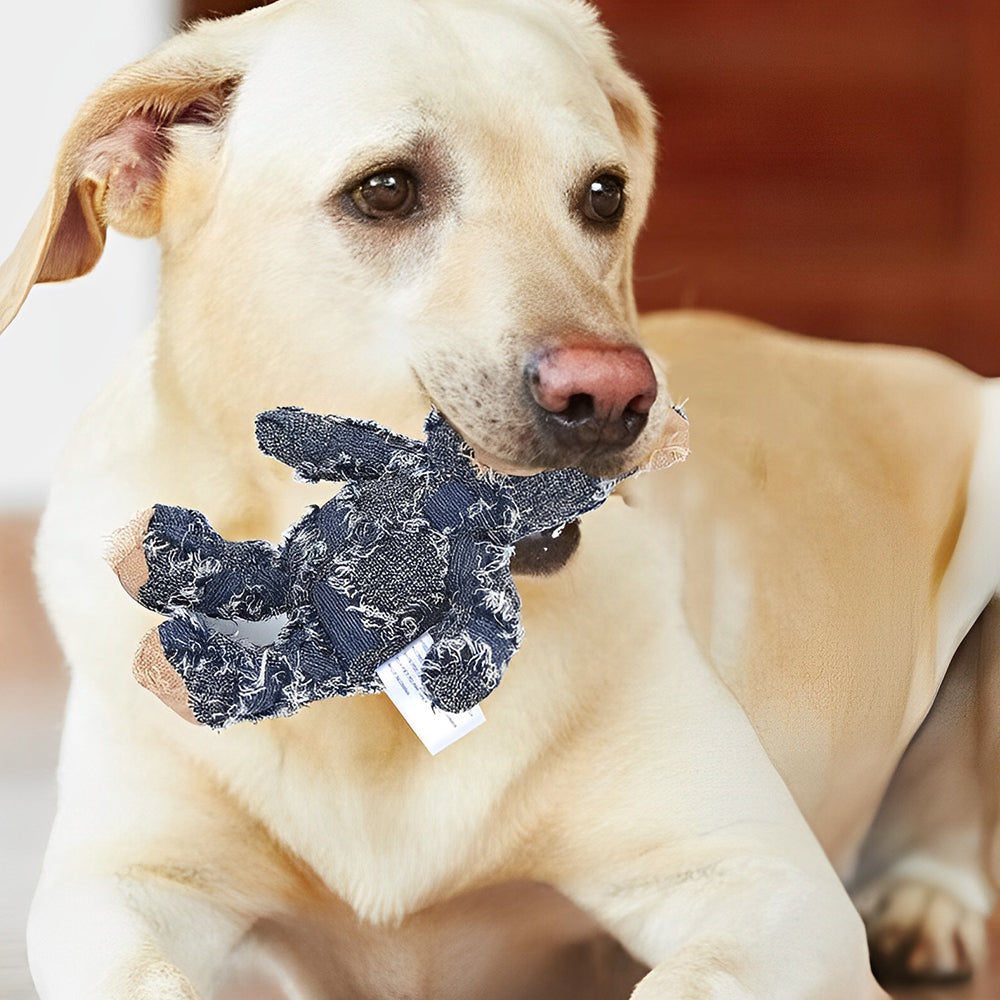 BowLift | Indestructible Robust Bear