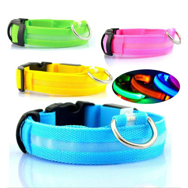 BowLift | GlowPets LED Collar – Safety & Visibility for Pets