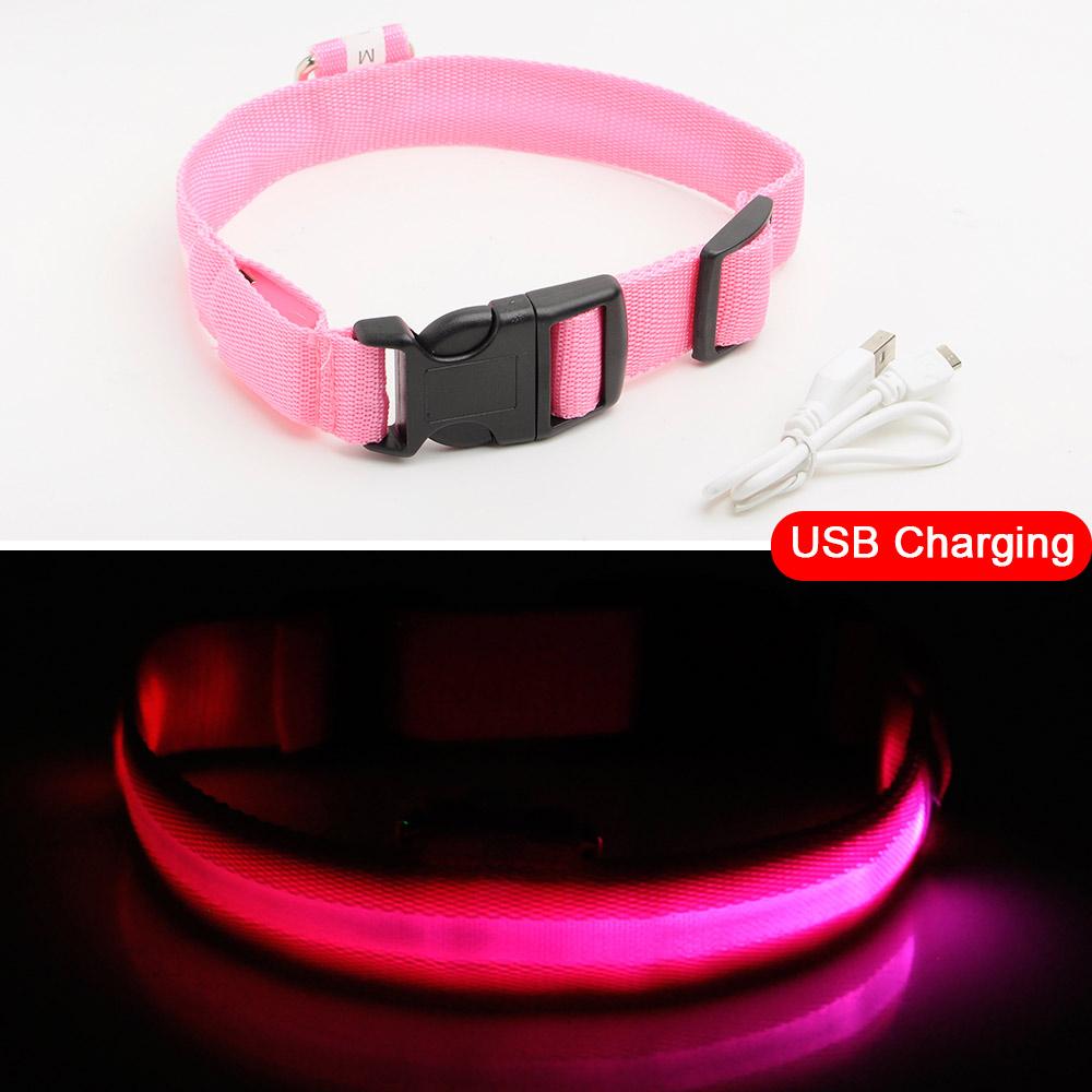 BowLift | Light Up Dog Collar - Flashing Dog Collar
