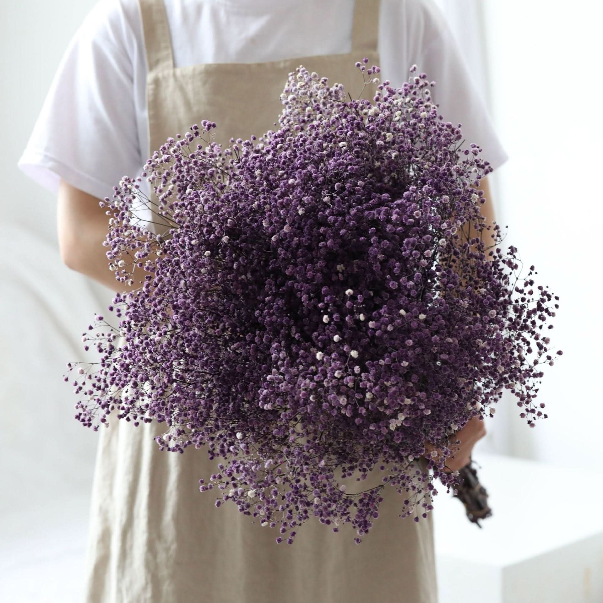 BowLift | Dried Preserved Gypsophila Flower Bouquet – Natural Decor
