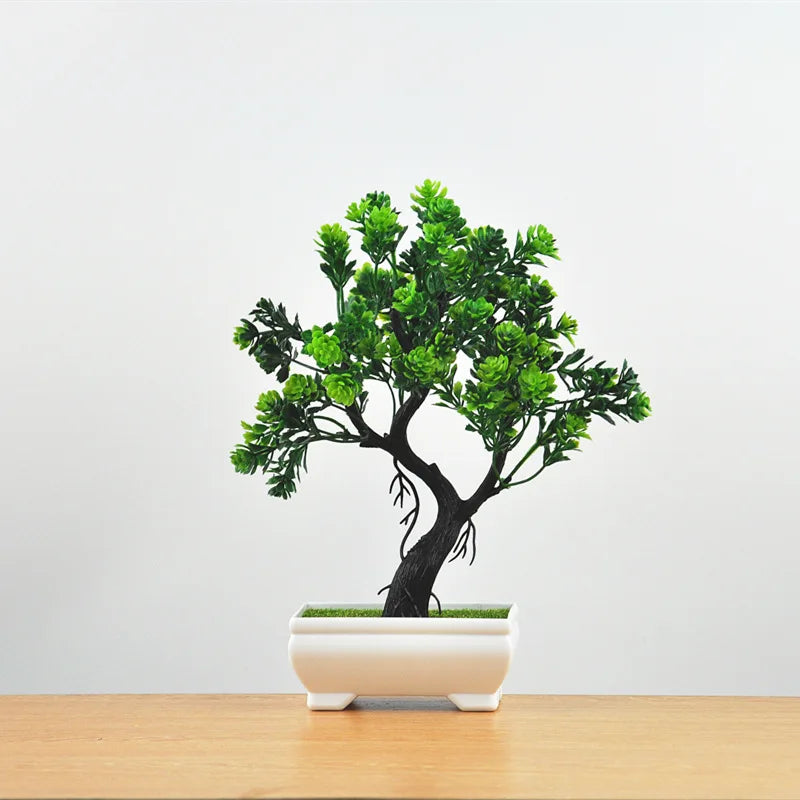 BowLift | Small Tree Pot Bonsai Plants