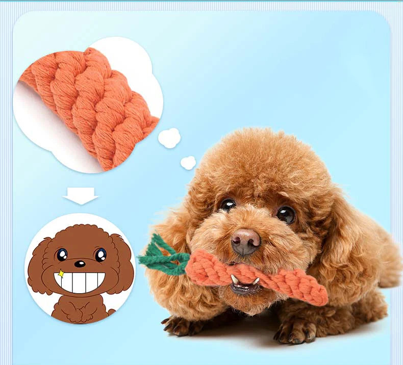 CarrotChew • Dog Chew Toy