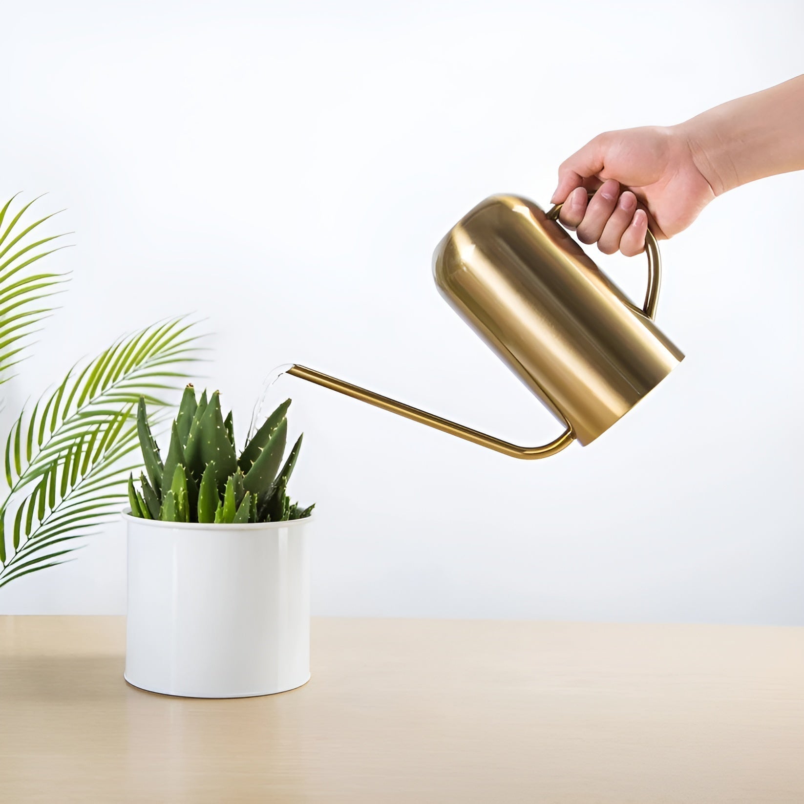 BowLift | Stainless Steel Pourer - 1.5L Long Watering Can for Plants and Flowers