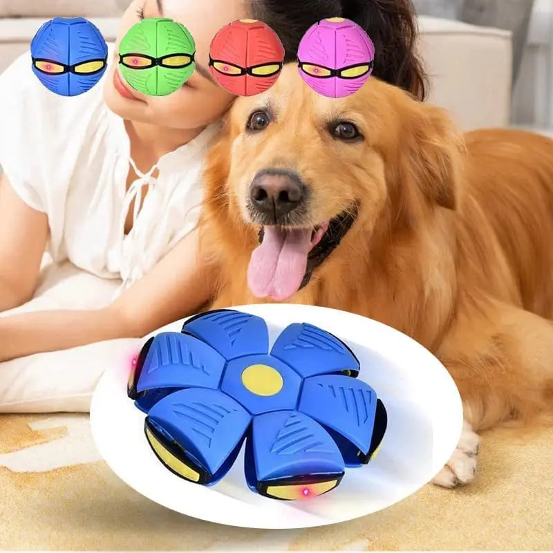 BowLift | Dog Toy Interactive Rubber Flying Disc Ball