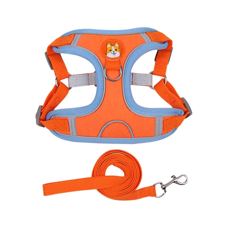 BowLift | Reflective Pet Harness and Leash Set