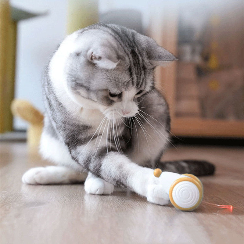 BowLift | Electric Smart Cat Toy