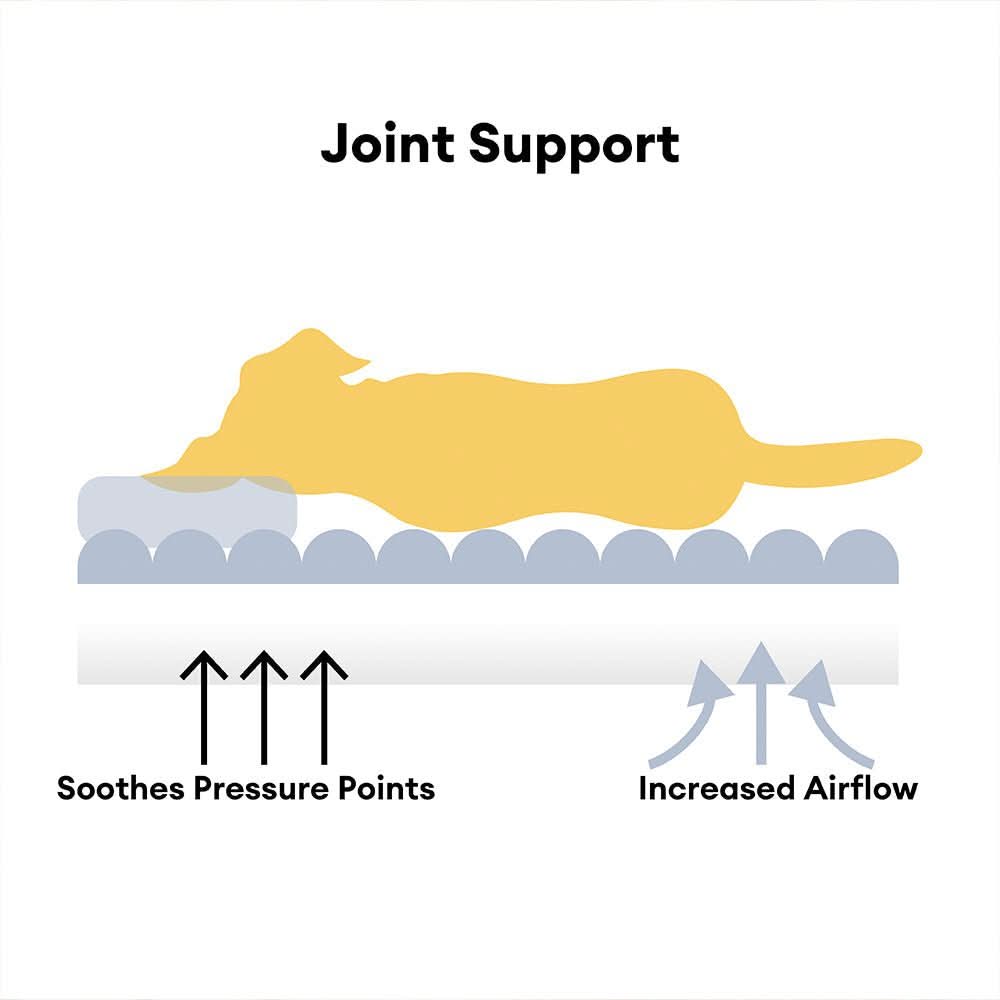 BowLift | DreamPaw Orthopedic Dog Bed – Sturdy Sleeping Place with Neck Support and Removable Cover