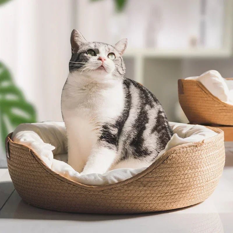 BowLift | Eco-friendly cat sofa with breathable cotton design
