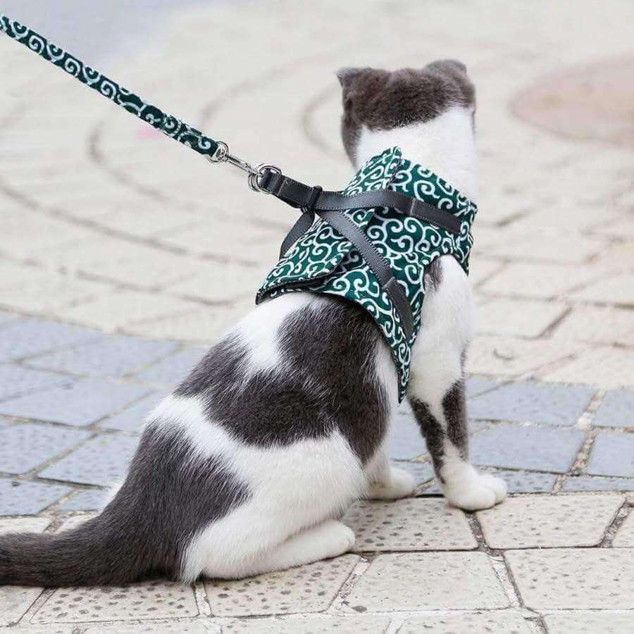 BowLift | Cat Harness Vest for Safety & Comfort