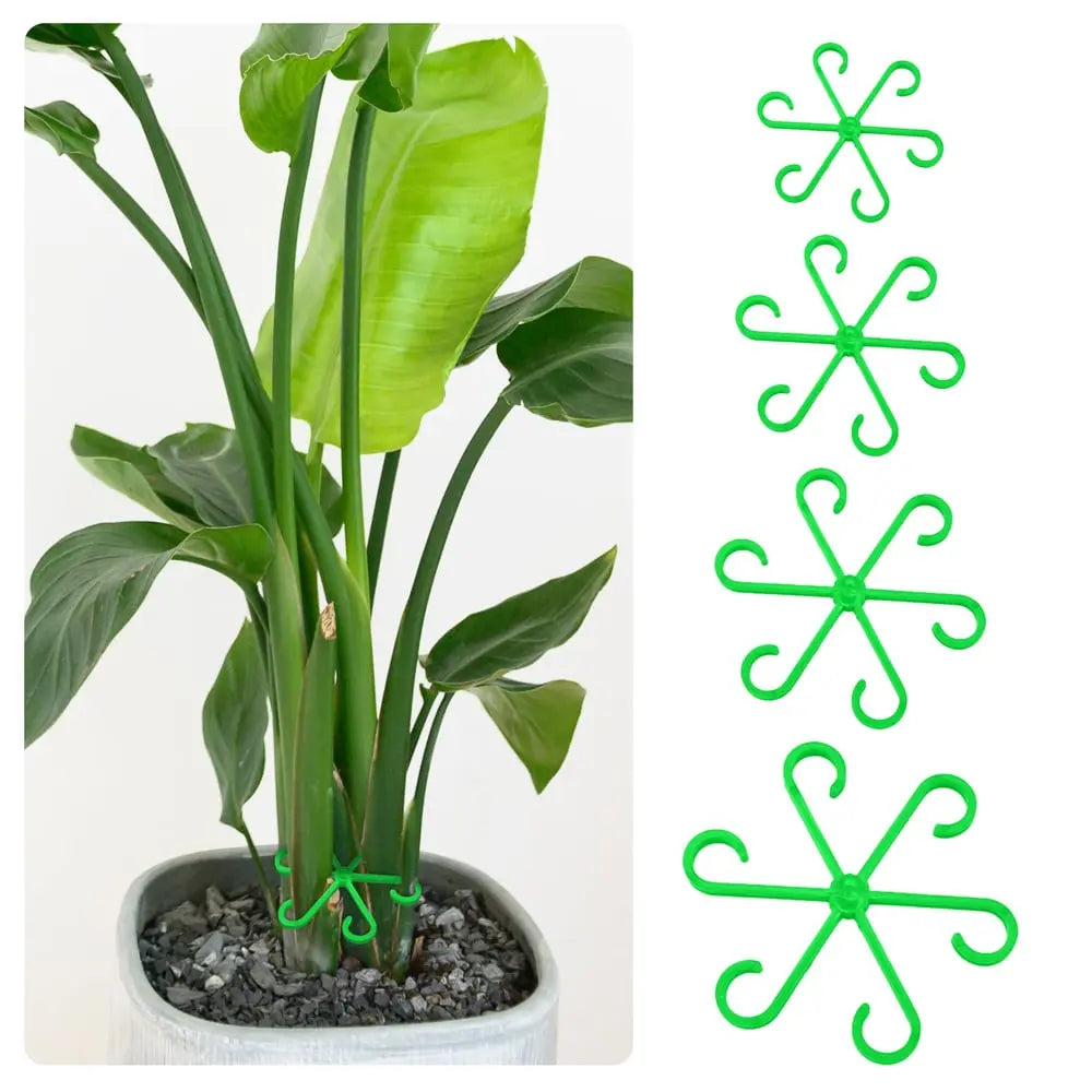 BowLift | Plant Stem Stabilizer Set – For Healthy Growth & Secure Stand