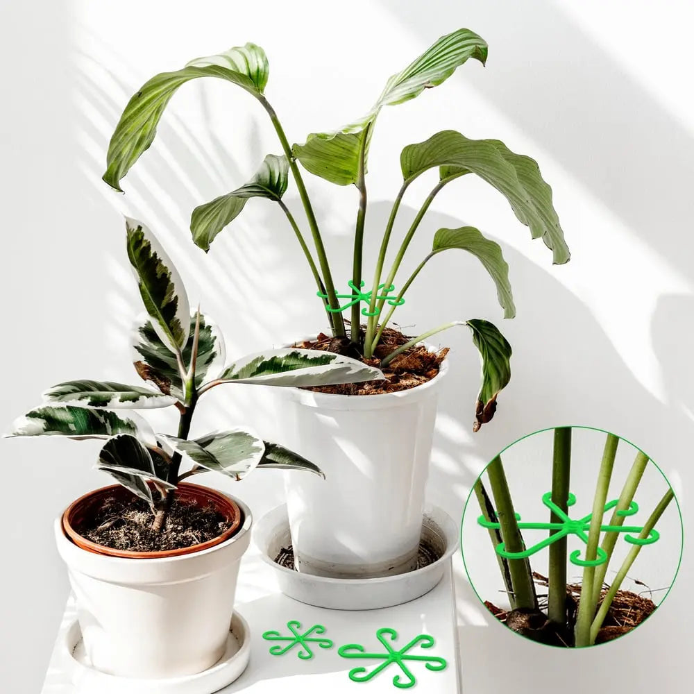 BowLift | Plant Stem Stabilizer Set – For Healthy Growth & Secure Stand