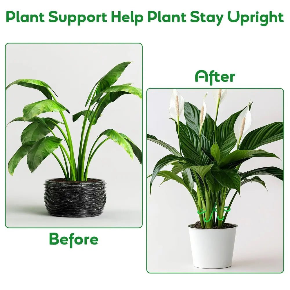 BowLift | Plant Stem Stabilizer Set – For Healthy Growth & Secure Stand