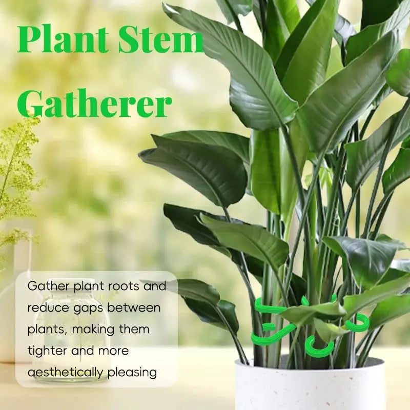 BowLift | Plant Stem Stabilizer Set – For Healthy Growth & Secure Stand