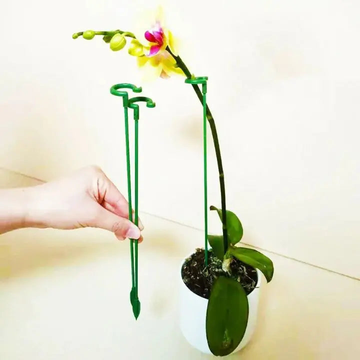 BowLift | Plant support – Stable climbing aid for flowers & vegetables (20 pieces)