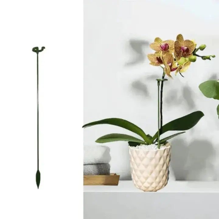 BowLift | Plant support – Stable climbing aid for flowers & vegetables (20 pieces)
