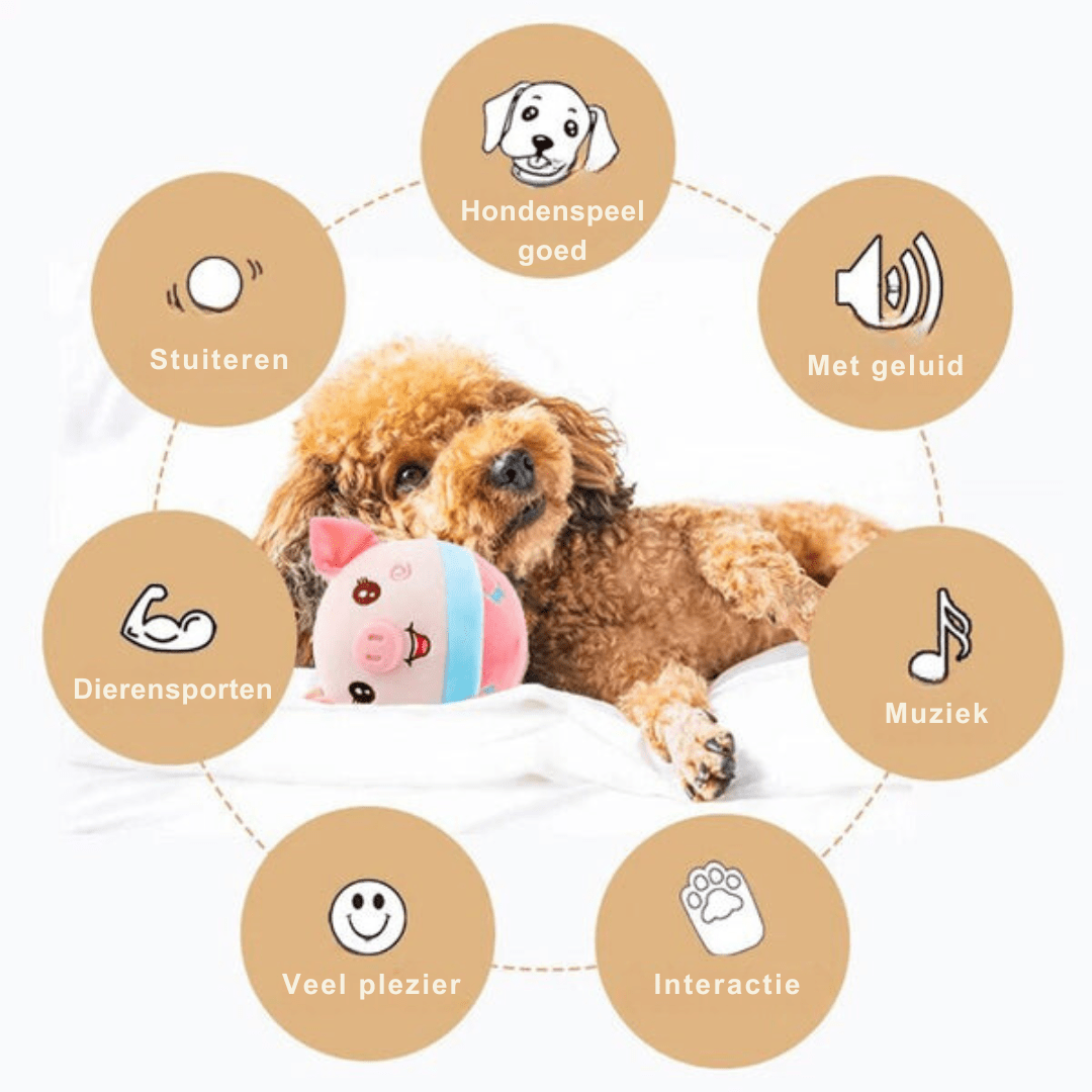 BowLift | Intelligent SmartBall for Active & Curious Dogs