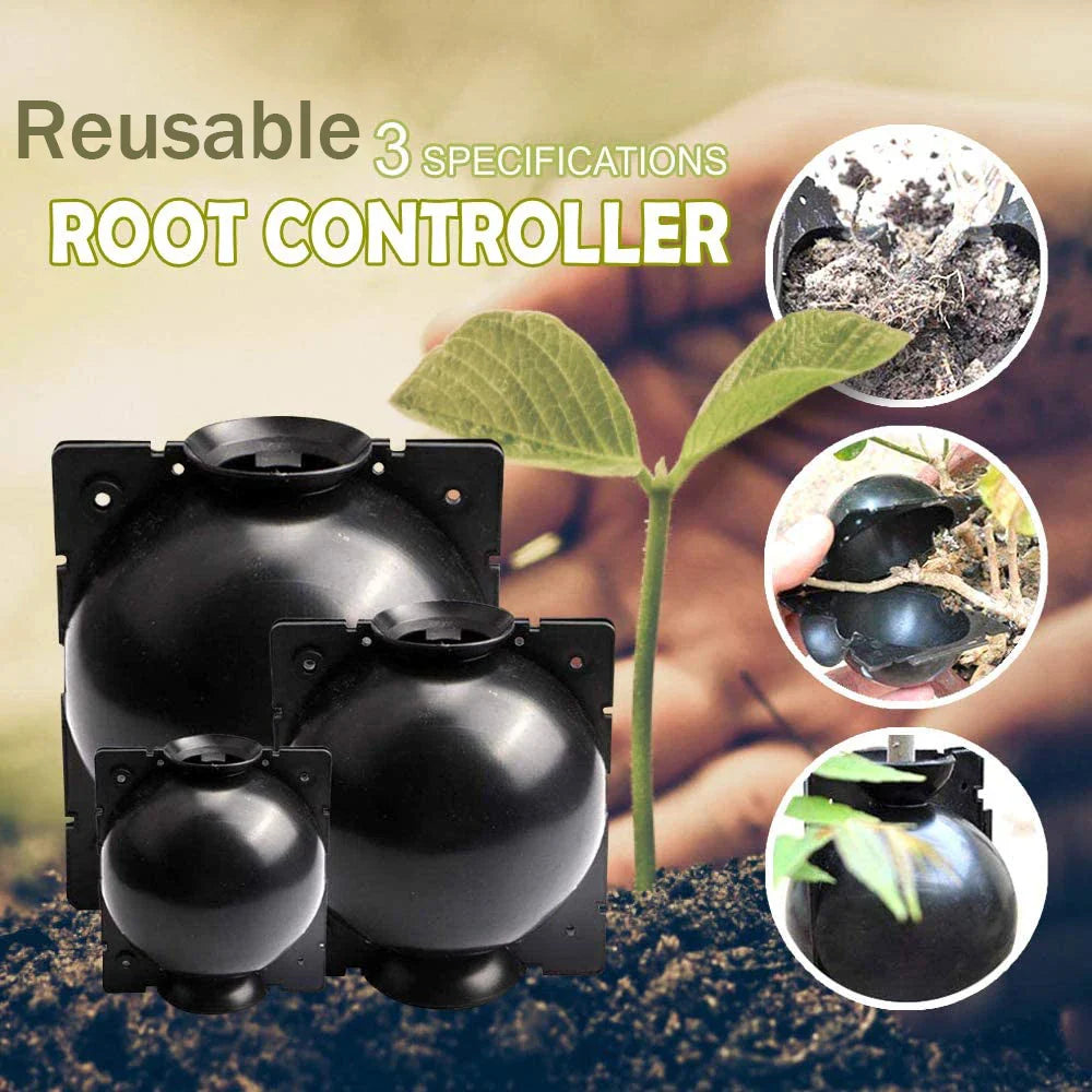 BowLift | Plant protection balls for roots – Protective caps for safe replanting and growth