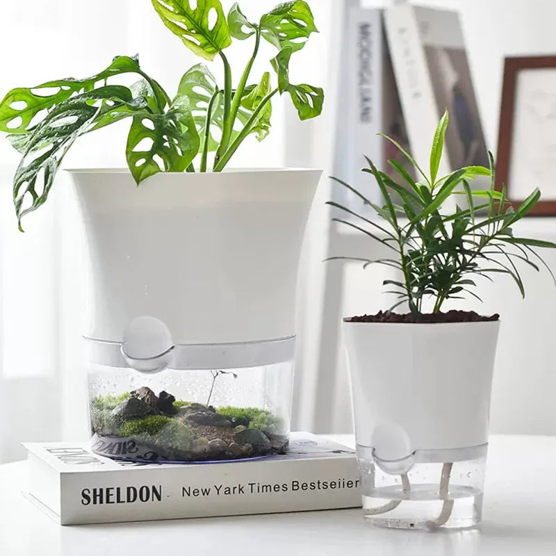 BowLift | Plantilo Self-watering Flower Pot | Transparent | Automatic Water Supply | For Houseplants