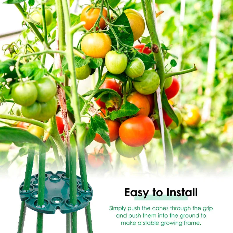 BowLift | Plant support ring for bamboo poles – Stable climbing aid for tomatoes and climbing plants