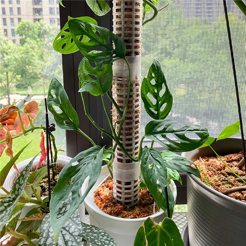 BowLift | Pillar for climbing plants and green plants – Support columns for vertical plant cultivation