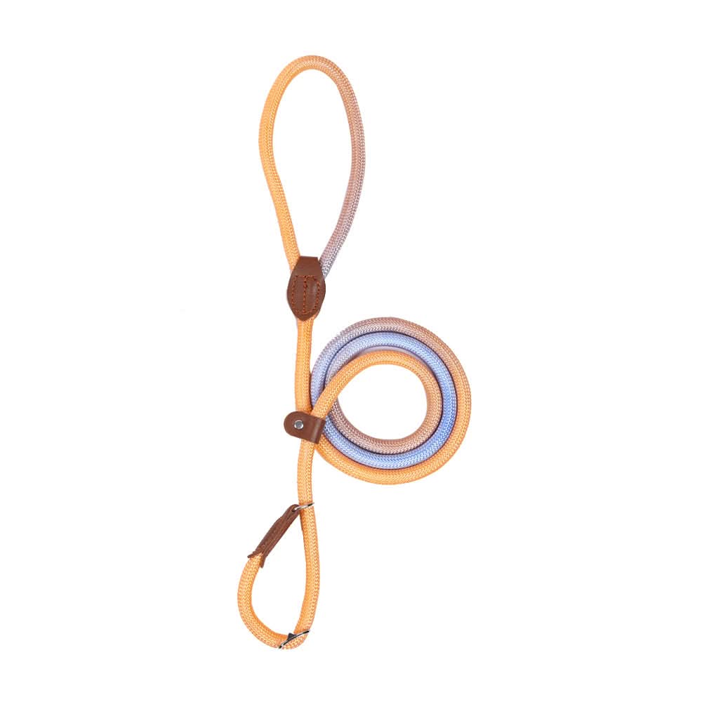 BowLift | Colorful Dog Leash for Stylish Walks