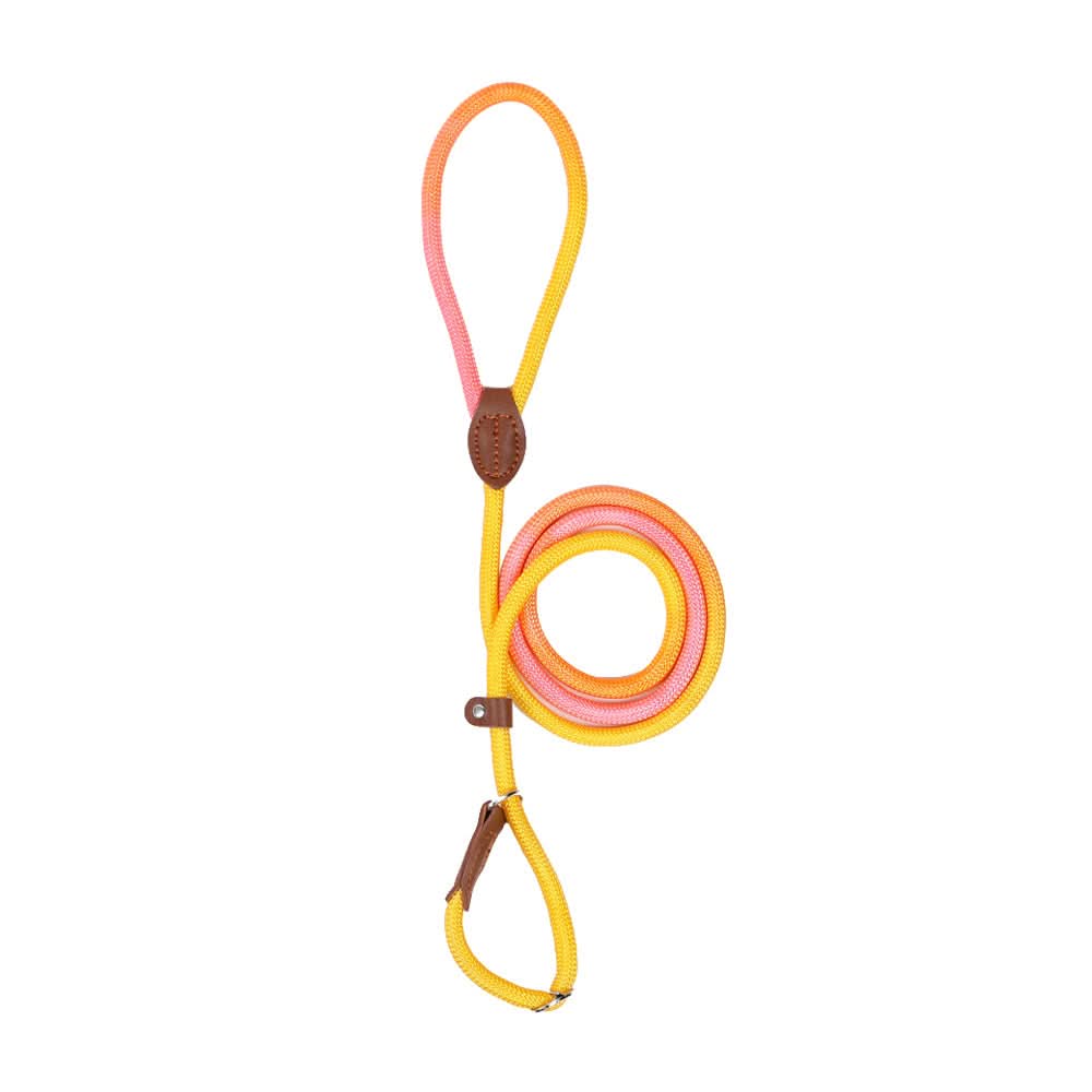 BowLift | Colorful Dog Leash for Stylish Walks