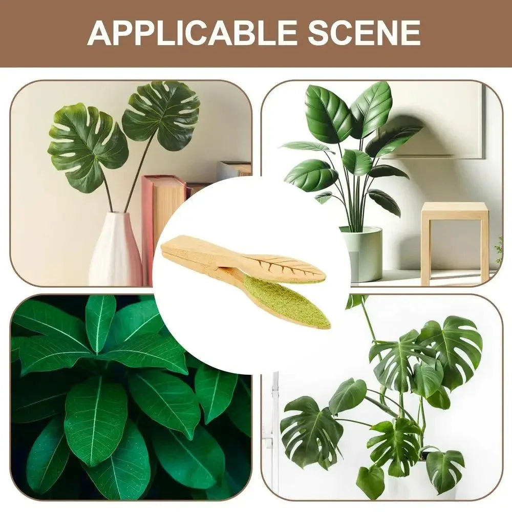 BowLift | Plant leaf cleaning tongs made of wood for gentle leaf care