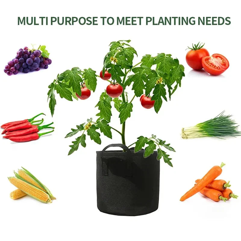 BowLift | Planting bag made of nonwoven fabric – Robust garden container with handles for plants